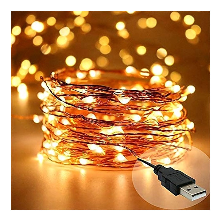 Desidiya Copper 100 LED Fairy String Light with USB Powered - Warm White : 10 Metres