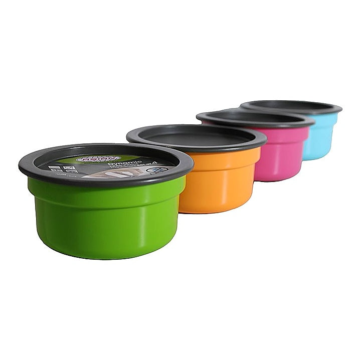 Dynamic Container Set (Assorted) - 4 Pieces : 1 Unit