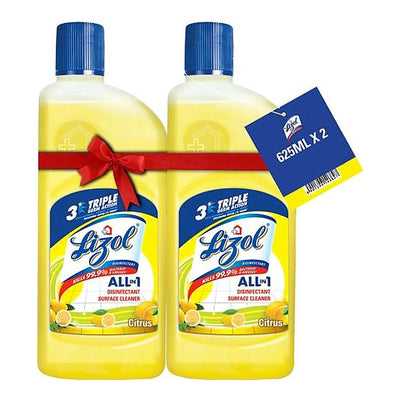 Lizol Disinfected Cleaner Combo 2x 625 ml